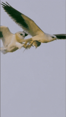 困的时候不睡觉于2026-04-14 11:45发布的图片