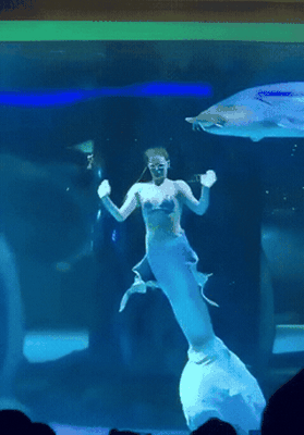 困的时候不睡觉于2026-04-01 17:21发布的图片