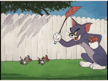 Deadman于2025-10-24 15:56发布的图片