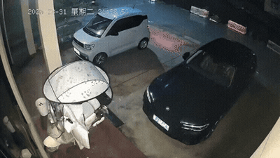 困的时候不睡觉于2026-04-03 16:01发布的图片