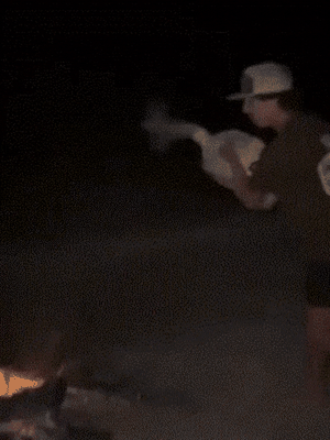 困的时候不睡觉于2026-04-14 11:46发布的图片