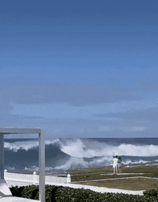 困的时候不睡觉于2026-04-14 11:44发布的图片