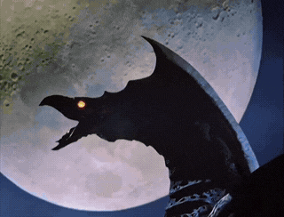 被你老公从床底下拽出来才明白爱是藏不住的于2025-12-22 14:52发布的图片