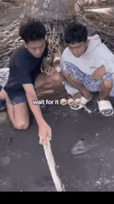 困的时候不睡觉于2026-04-09 17:46发布的图片